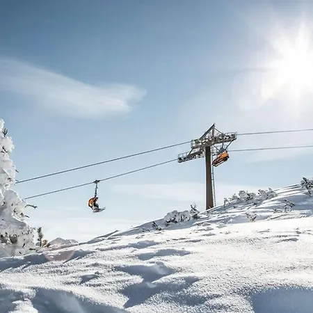 Stadlhof 3* 弗拉绍